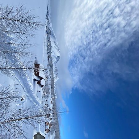 Guest House Sky Blue Žabljak Kültér fotó